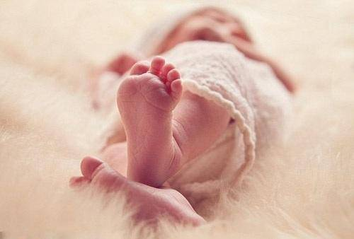 试管婴儿促排卵期间应该怎样保养卵巢？